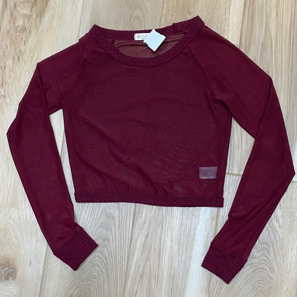 💥5 for $18💥 Burgundy Sheer Long-Sleeve Crop Top